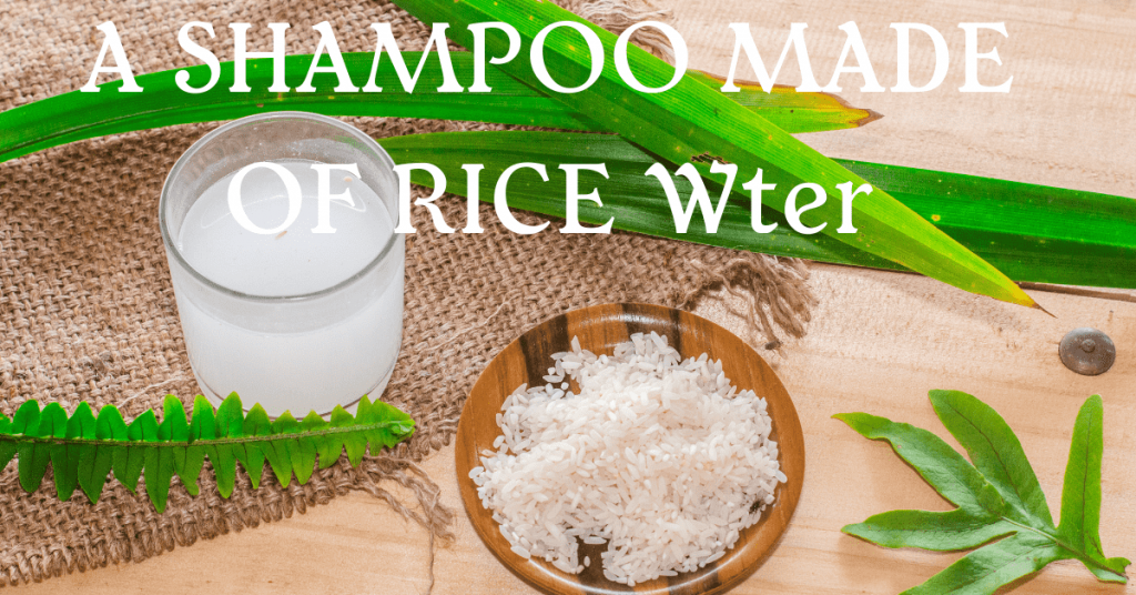 Rice Water Shampoo - E TECH GLOBAL TRENDS