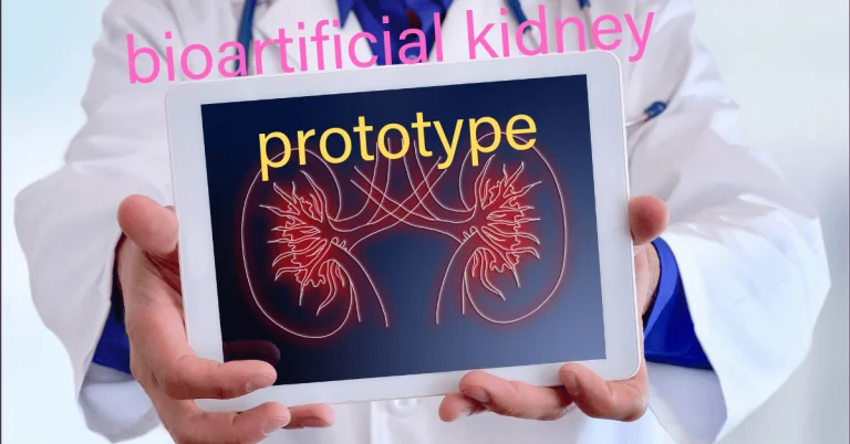 Bioartificial Kidney
