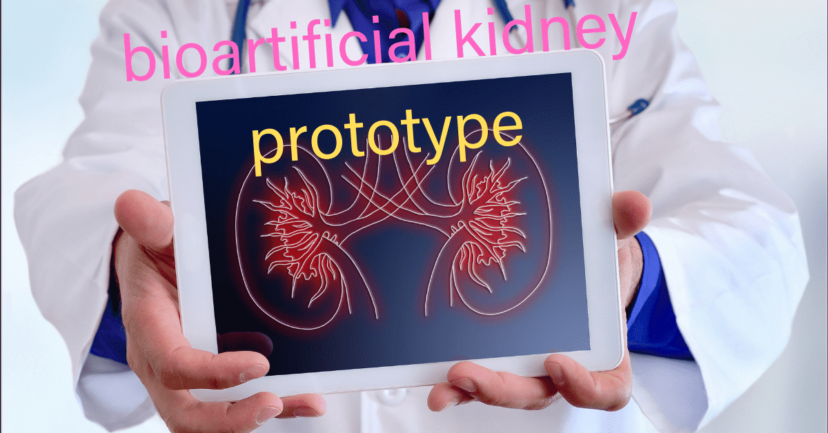 bio artificial kidney